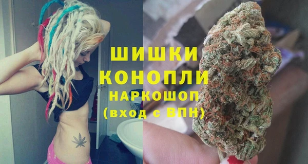 мдпв Костерёво