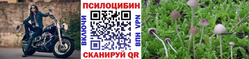 Купить  Заполярный  Галлюциногенные грибы GOLDEN TEACHER 